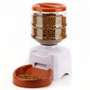 Image of Automatic Pet Feeder fountain Voice Message Recording LCD Screen Dogs Cats Food Dispenser Bowl
