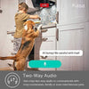 Image of Kasa Spot by TP-Link - Indoor WiFi Security Camera (3 Pack), 24/7 Live View