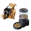 Image of Automatic Pet Feeder fountain Voice Message Recording LCD Screen Dogs Cats Food Dispenser Bowl